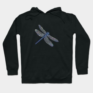 Dragonfly riding the light Hoodie